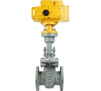 Клиновая задвижка DN.ru 30с964нж Ду250 Ру25 фланцевая с электроприводом MT-300 220В D040-04782