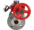 Шаровой кран DN.ru КШФП.316.200 Ду25 Ру40 с редуктором HGBF-1 D160-12921 2