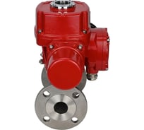 Шаровой кран DN.ru КШФПТ-ISO.316.180 Ду65 Ру25 с электроприводом QT-W (M) EX-010 220В D160-16609