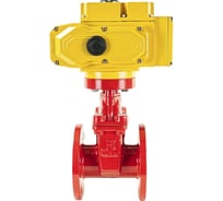 Задвижка клиновая DN.ru 30ч939р GGG50-EPDM-F4-RED Ду50 Ру16 электропривод MT-50 220В D040-00717