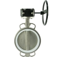 Затвор DN.ru 316L-316L-PTFE Ду250 Ру16 с редуктором RDN-5 D050-07971