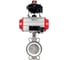 Затвор DN.ru 316L-316L-PTFE Ду50 Ру16 с пневмоприводом, пневмораспределителем, БКВ D050-19246 1