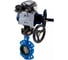Затвор дисковый DN.ru GG25-316L-NBR Ду125 Ру16, ручной дублёр, пневмопозиционер D050-21727 1