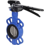 Затвор DN.ru WCB-316L-NBR Ду50 Ру16 с рукояткой и концевыми датчиками D050-13683