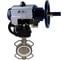 Затвор дисковый DN.ru WCB-316L-PTFE Ду125 Ру16, ручной дублёр, пневмораспределитель D050-22078 1