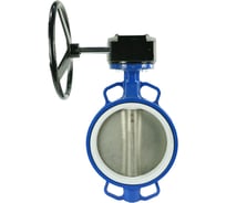 Затвор DN.ru WCB-316L-PTFE Ду250 Ру16 с редуктором RDN-5 D050-10238