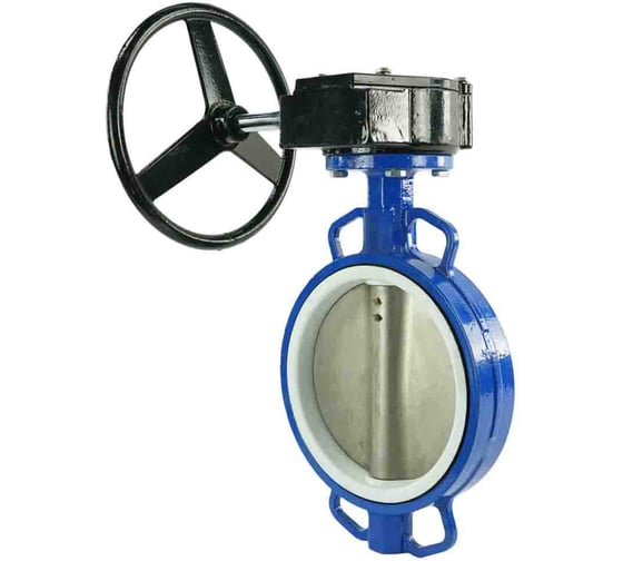 Затвор DN.ru WCB-316L-PTFE Ду250 Ру16 с редуктором RDN-5 D050-10238