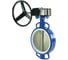 Затвор DN.ru WCB-316L-PTFE Ду250 Ру16 с редуктором RDN-5 D050-10238 2