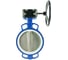 Затвор DN.ru WCB-316L-PTFE Ду250 Ру16 с редуктором RDN-5 D050-10238 5
