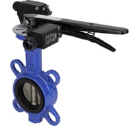 Затвор DN.ru GG25-316L-NBR Ду80 Ру16 с рукояткой и концевыми датчиками D050-13663