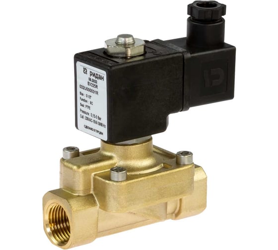 Электромагнитный клапан Ридан EV225R, G 1, PTFE (пар до 160 гр.С), нормально закрытый, 0,5…6 бар, с катушкой 230В, 50/60 Гц 032U380731R