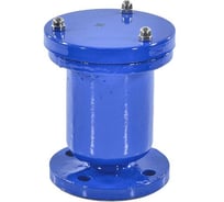 Вантуз Benarmo В6 Ду80 Ру10/16 чугун, фланцевое присоединение, автоматический, вертикальный 019-2982