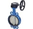 Затвор поворотный Benarmo Ду250 Ру10/16 ред чугун EPDM д/нерж EURO 107-5848 1