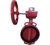 Затвор поворотный Benarmo Ду300 Ру10/16 ред чугун EPDM д/чуг EURO FBV-RA 109-0142