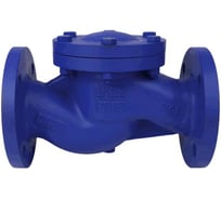 Клапан обратный Benarmo чугун, подъемный, Ду80, Ру16, фланцевый 019-2465