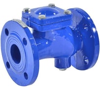 Клапан обратный Benarmo чугун, шаровой, Ду65, Ру10/16, фланцевый, шар - сталь+NBR 11 019-2265