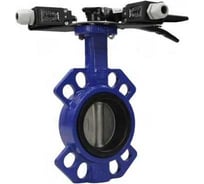 Затвор дисковый DN.ru 304-304-NBR-2W-Fb-H Ду125, Ру16, рукоятка, с двумя концевыми датчиками D050-46588