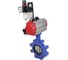 Затвор DN.ru QT450-QT450-EPDM-2W-Fb-H Ду125 Ру16 LUG пн.привод, пн.распределитель, БПВ D050-52146 3