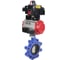 Затвор DN.ru QT450-QT450-NBR-2W-Fb-H Ду125 Ру16 LUG пн.привод, пн.распределитель, БКВ D050-50736 1