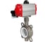 Затвор DN.ru 304-304-PTFE-2W-Fb-H Ду80 Ру16 пневмопривод, пневмораспределитель D050-46750 3