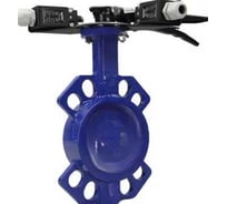 Затвор DN.ru 304-304-VITON-2W-Fb-H Ду125 Ру16, рукоятка, с двумя концевыми датчиками D050-46594