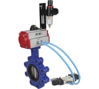Затвор DN.ru QT450-304-EPDM-2W-Fb-H Ду50 Ру16 LUG пн.привод, пн.распределитель, БПВ D050-52082