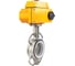 Дисковый затвор DN.ru 304-304-PTFE-2W-Fb-H Ду80 Ру16 электропривод QT-005 220В D050-46291 1