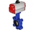 Затвор DN.ru QT450-304-NBR-2W-Fb-H Ду125 Ру16 LUG пневмопривод D050-51828 1