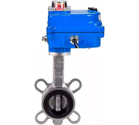 Дисковый затвор DN.ru 304-304-Viton-2W-Fb-H Ду50 Ру16 электропривод 003 blue 220В D050-46599 1