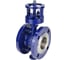 Дисковый поворотный затвор DN.ru WCB-304-M-F-ISO Ду150 Ру25 с тройным эксцентриситетом D050-46236 3
