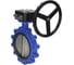 Дисковый затвор DN.ru поворотный QT450-QT450-EPDM-2W-Fb-R Ду300 Ру16 LUG с редуктором D050-49987 1