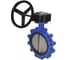 Дисковый затвор DN.ru поворотный QT450-QT450-EPDM-2W-Fb-R Ду300 Ру16 LUG с редуктором D050-49987 5