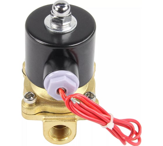 Клапан электромагнитный DN.ru VS2W-100V-NC Ду10 Ру10 двухходовой, латунь, VITON, 24В AC D130-04484