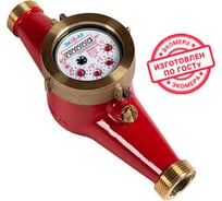 Счетчик воды универсальный антимагнитный ЭКО-М ЭКОМЕРА-25, Ду25, L260, включает КМЧ, чугун Э-25У-260-СК