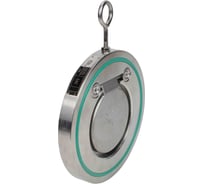 Клапан обратный DN.ru 304-304-VITON-Fb Ду100, Ру40, лепестковый одностворчатый D100-03753