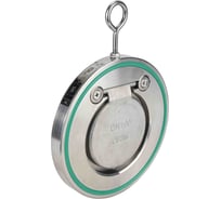 Клапан обратный DN.ru 316-316-VITON-Fb Ду125, Ру16, лепестковый одностворчатый D100-03742