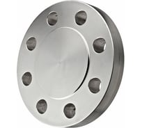 Заглушка фланцевая ТЕХСНАБ 1-100-10 ст.20 8001