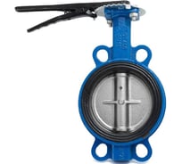 Затвор дисковый поворотный ТЕХСНАБ Ду50 Ру16 6023