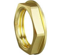 Контргайка LD PRIDE DN50 (2") латунь с биркой LD.65.518.50