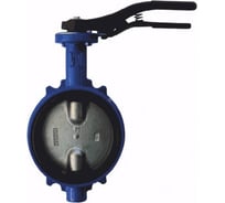 Затвор поворотный Giacomini чугун EPDM Ду150 Ру16 д/нерж R59W R59WY015 107-5431