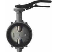 Затвор поворотный Giacomini чугун EPDM Ду200 Ру16 д/чугун R59W R59WX020 107-5442