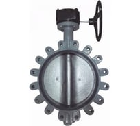 Затвор поворотный Giacomini чугун EPDM Ду500 Ру16 редуктор, диск чугун R59FL R59FLX050 107-5423