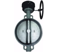 Затвор поворотный Giacomini чугун EPDM Ду600 Ру16 редуктор, диск чугун R59W R59WX060 107-5449