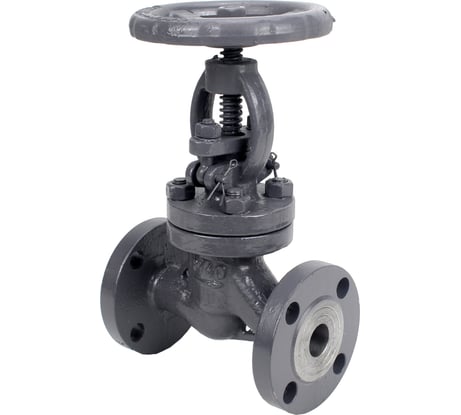 Клапан запорный сальниковый DN.ru 15с22нж WCB-WCB-M-F-S Ду65 Ру40 D090-02871