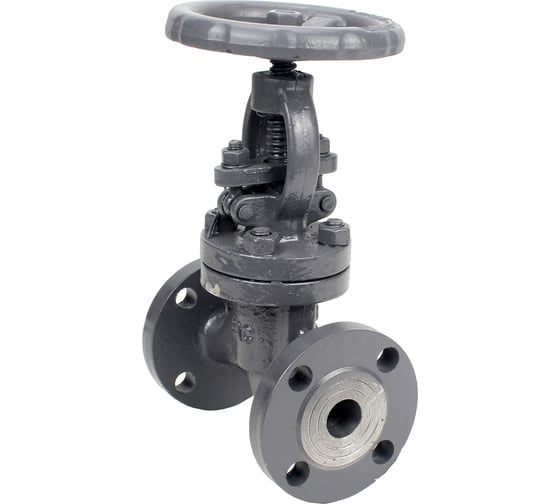 Клапан запорный сальниковый DN.ru 15с22нж WCB-WCB-M-F-S Ду100 Ру40 D090-02873