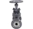 Клапан запорный сальниковый DN.ru 15с22нж WCB-WCB-M-F-S Ду15 Ру40 D090-02865 2