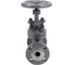 Клапан запорный сальниковый DN.ru 15с22нж WCB-WCB-M-F-S Ду15 Ру40 D090-02865 6