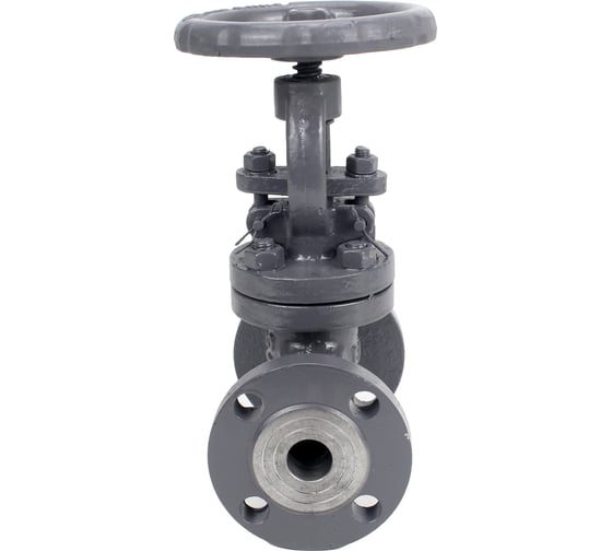Клапан запорный сальниковый DN.ru 15с22нж WCB-WCB-M-F-S Ду125 Ру40 D090-02874