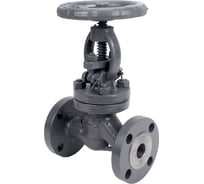 Клапан запорный сальниковый DN.ru 15с22нж WCB-WCB-M-F-S Ду200 Ру40 D090-02876