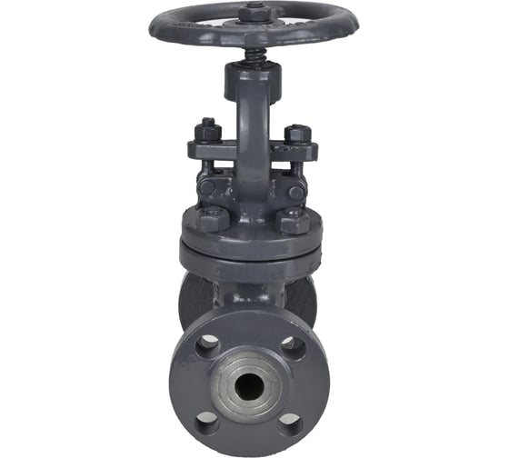Клапан запорный сальниковый DN.ru 15с65нж WCB-WCB-M-F-S Ду32 Ру16 D090-02856